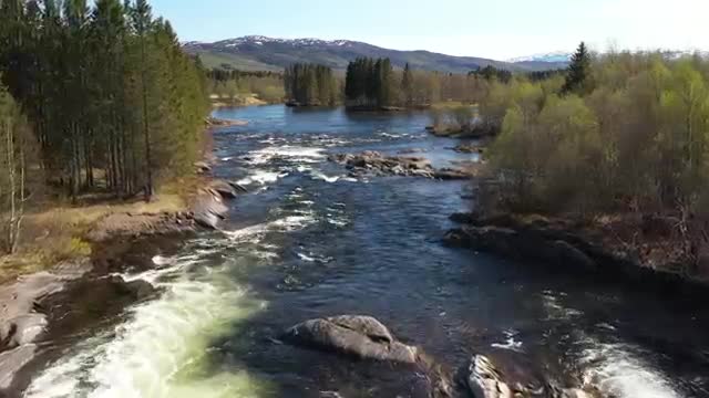 Following River