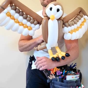 balloon guy - owl