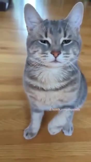 Upstairs neighbour always amplifying noise