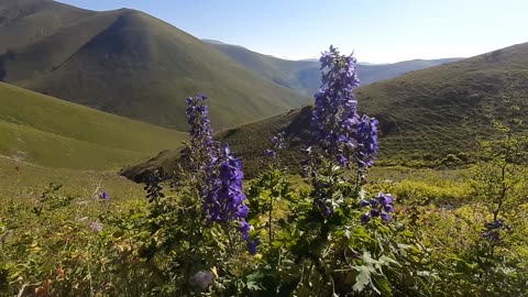 VIEWS FROM THE PLATEAU-28