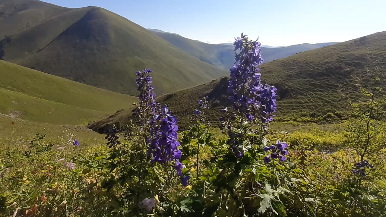 VIEWS FROM THE PLATEAU-28