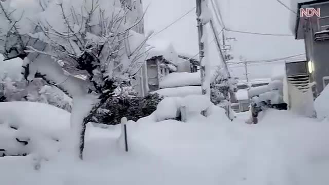 🇯🇵Horror, Japan is stopped! There is no end of snow. Snowfall in Japan.