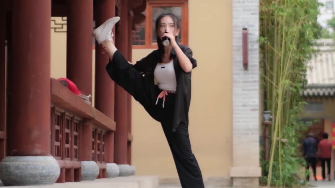 Chinese martial arts