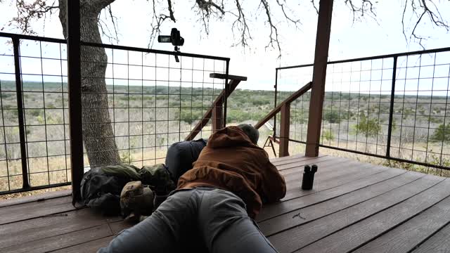 BACK PORCH HEART SHOT! Winter Buck Hunt with Long Range Rifle