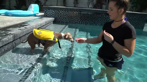 Girl Teaches Dogs How to Swim!