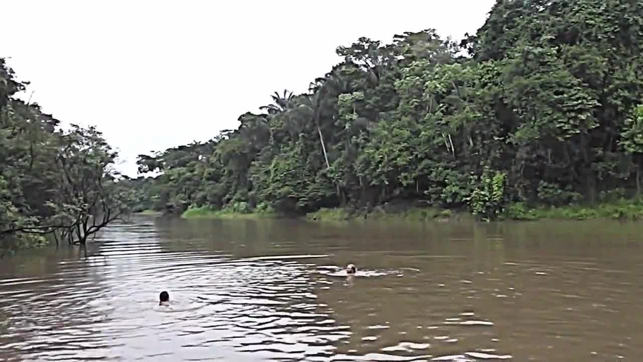 Ayahuasca retreat, swimming with piranhas & anacondas in the Amazon Rain Forest .