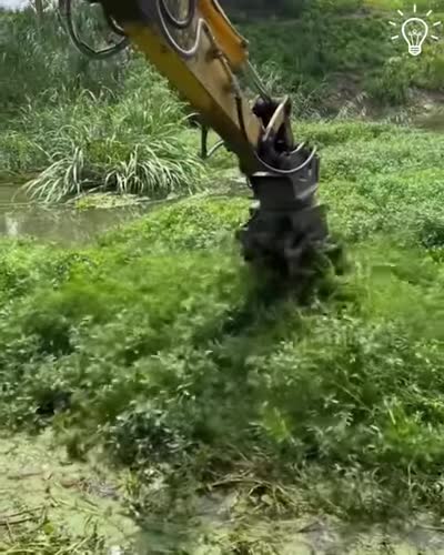 Removing weeds from water with an excavator