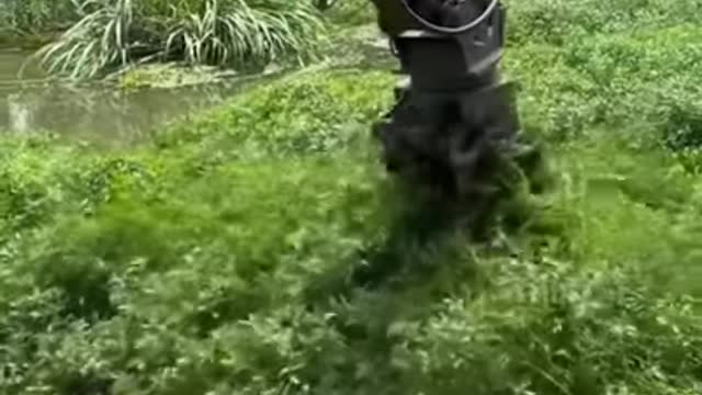 Removing weeds from water with an excavator