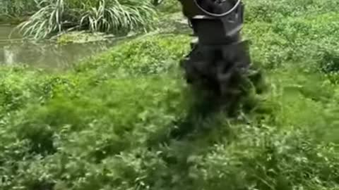 Removing weeds from water with an excavator