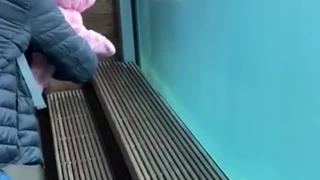 Baby won't stop laughing at swimming otter at the zoo 't stop laughing at swimming otter at the zoo