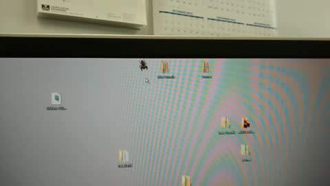 Spider Stops by Work