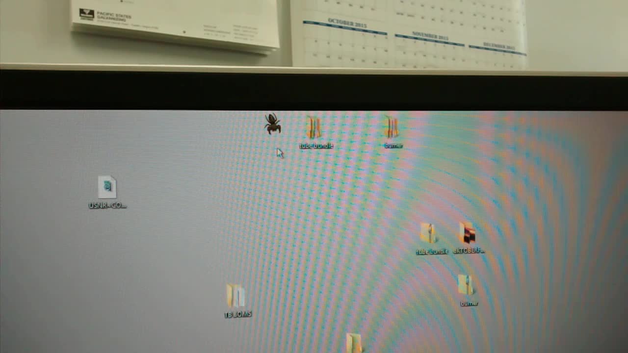 Spider Stops by Work