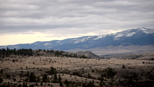 River on overcast morning 3