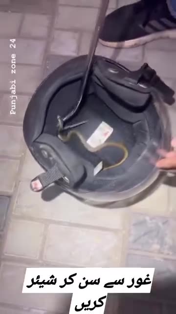 Video must watch lazmi dekein