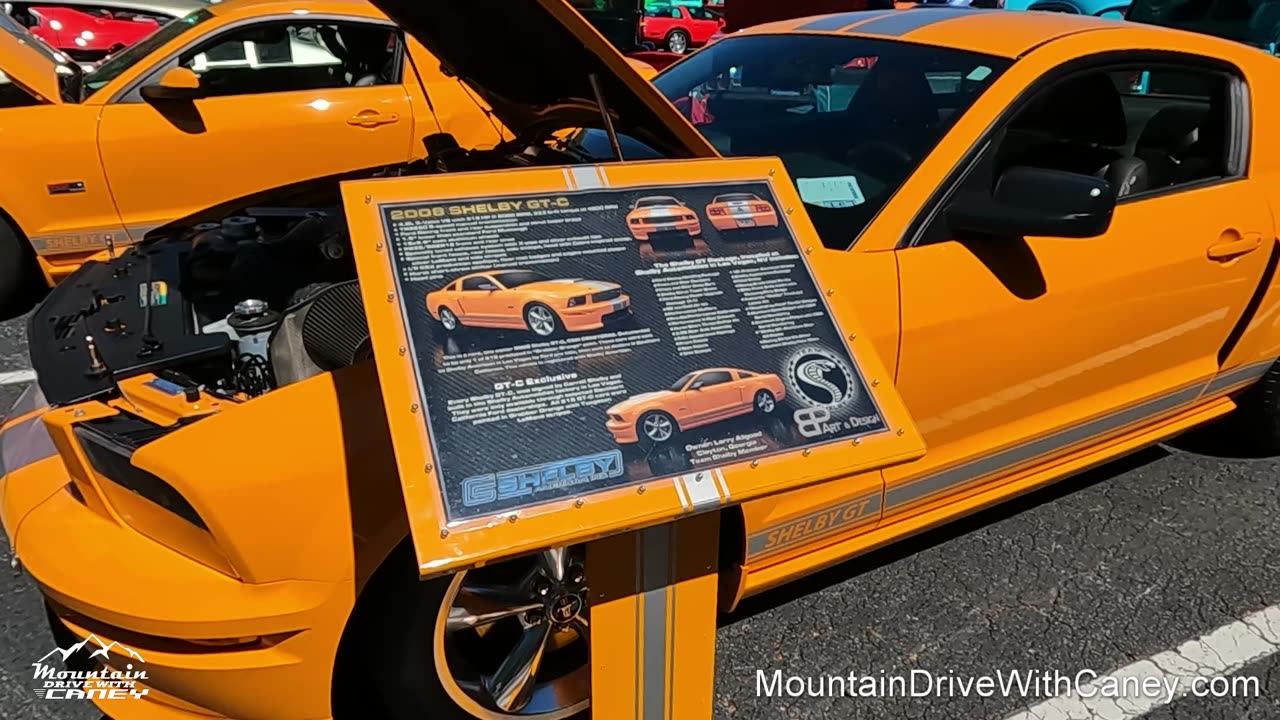 2008 Ford Mustang Shelby GT