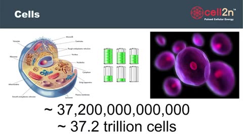 Cell2n PEMF introduction orientation