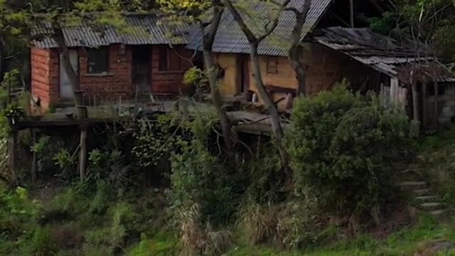 Beautiful countryside