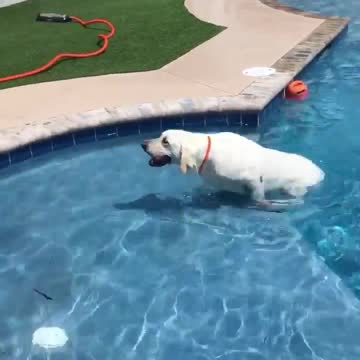 Tucker enjoying his job!