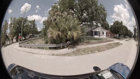 Fort Myers Hood - 1L