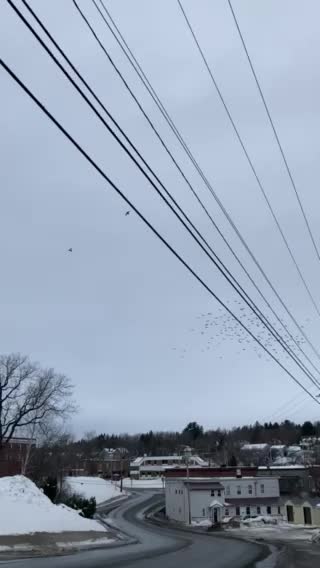 Split right split right!!!!