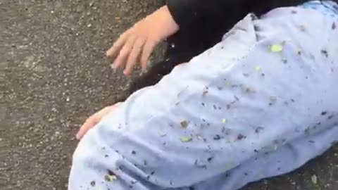 Worst fail of all time