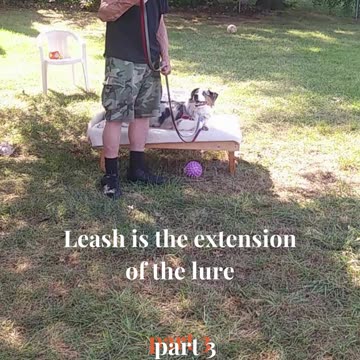 Ruff Cut PodCast Leash Handling part 3 cut g
