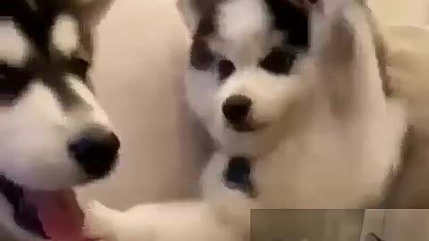 Hit you