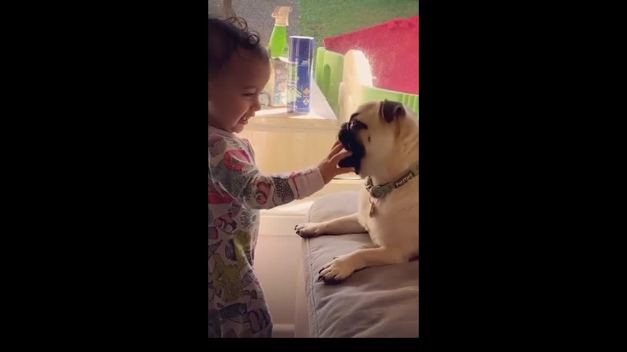 Cute complicity moment between this baby girl and the dog 🐶😍