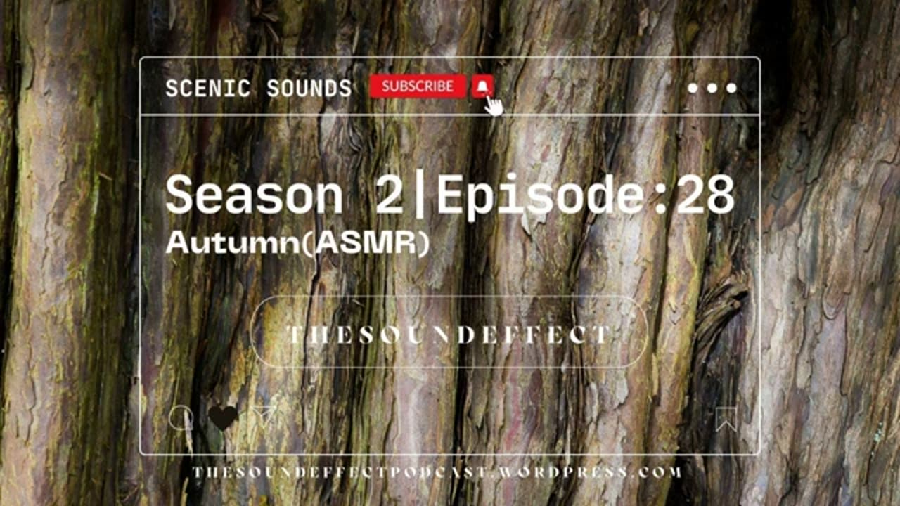 Scenic Sounds | Season 2: Episode: 28 | Autumn (ASMR)