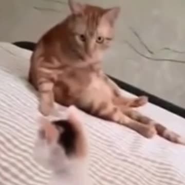 Something different 1