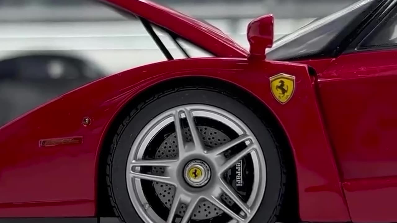 Where are the fans of Ferrari?