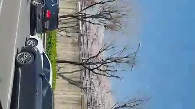 A cool drive on a sunny spring day in full bloom of cherry blossoms