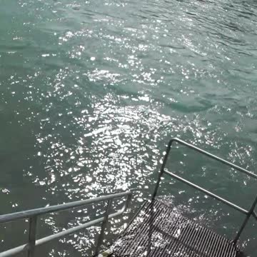 Alaska summer 2022 Colossians 1:16 Uncle Ray 8/10/22