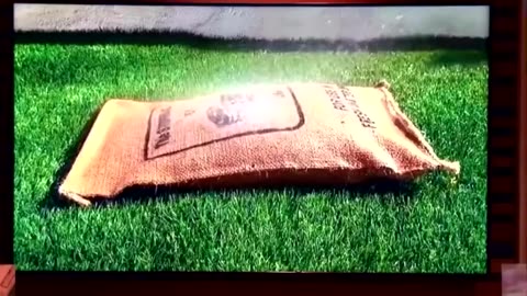 Father and son invented a sandbag that has no sand