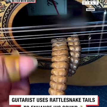 Guitarist uses rattlesnake tails to enhance his sound