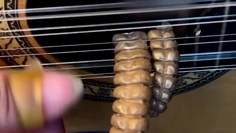 Guitarist uses rattlesnake tails to enhance his sound