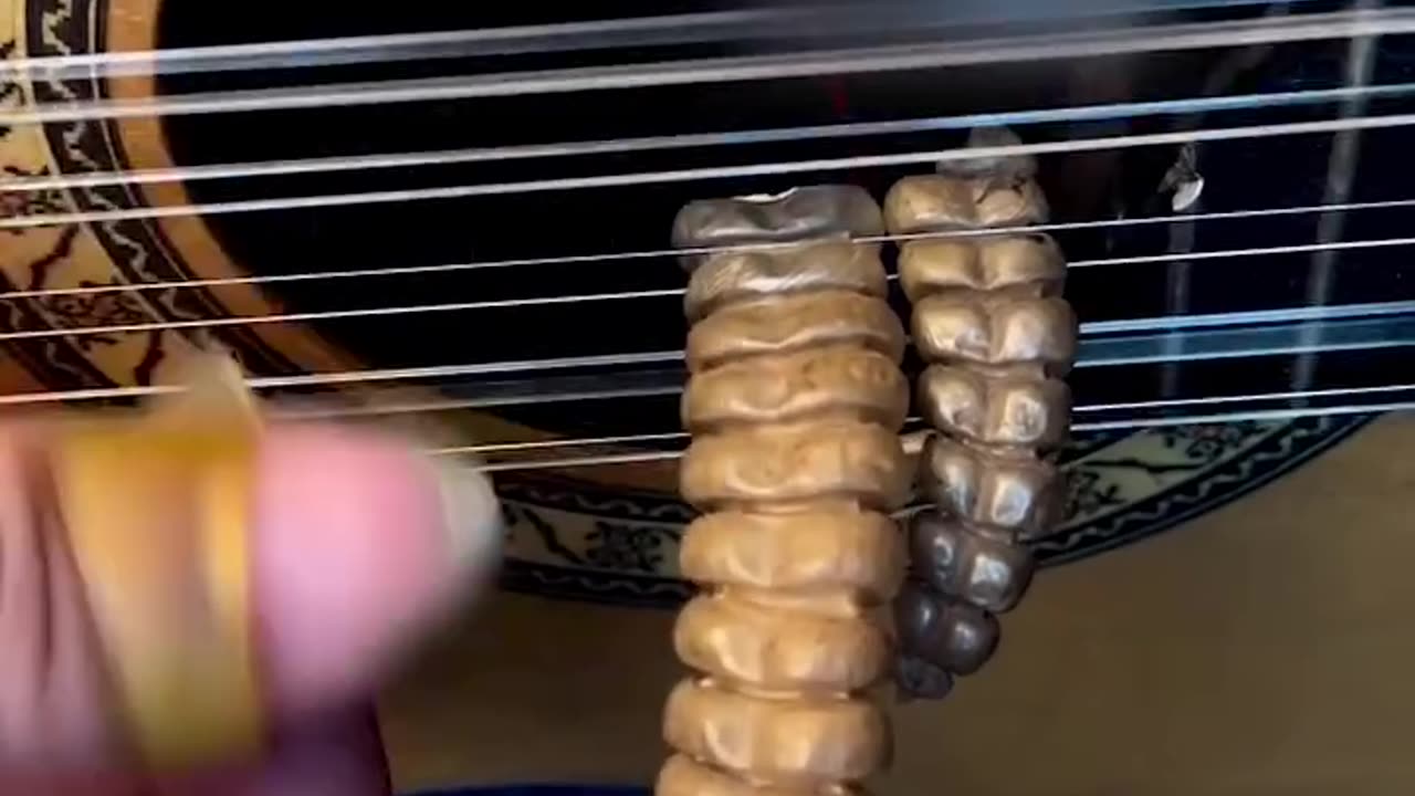 Guitarist uses rattlesnake tails to enhance his sound