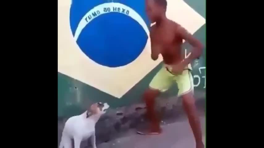 dancing dog in Rio