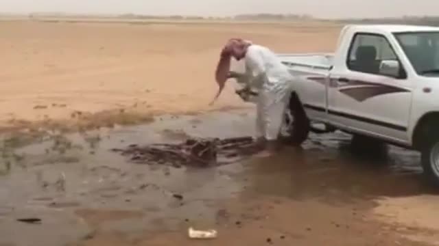 Accident to the
