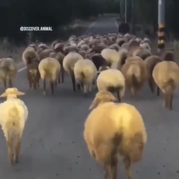 essesoueubr_ on Instagram Kkkkkkkkkkkkkkkkkviralvideos