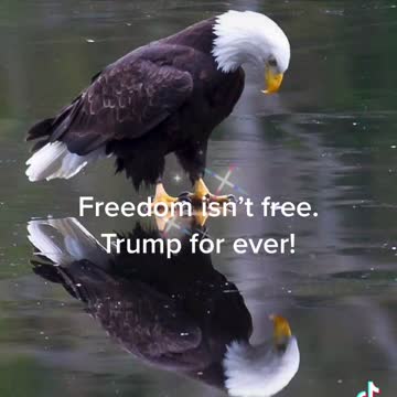 I have a dream that Trump will be back and will win.