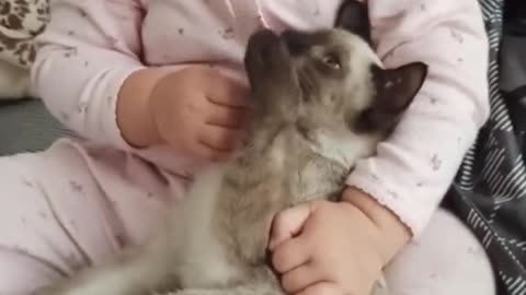 When a baby and a cat are friends, they are very cute and friendly too