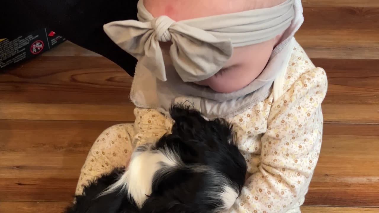 Puppy and Baby Become Fast Friends