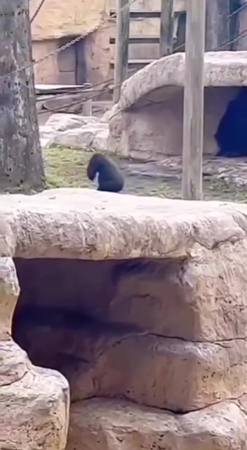 But everything read so beautifully..... it's a pity