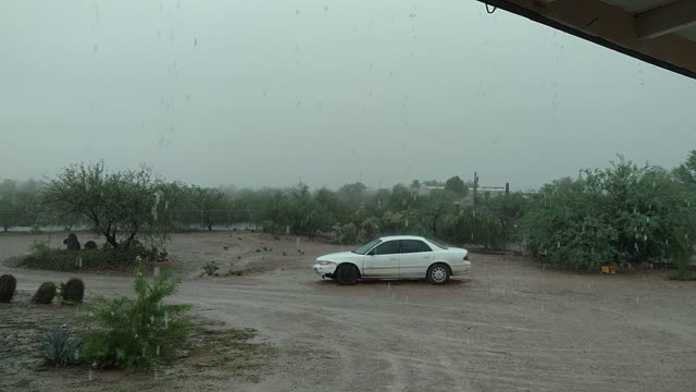 Our storms