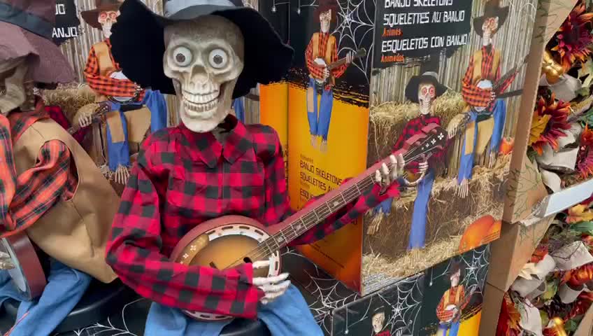 Musician skeleton