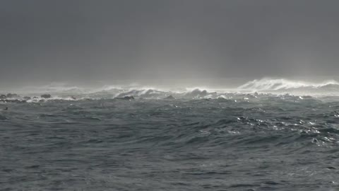 Strong Winds Makes Strong WAVES