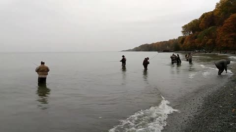 Lake Erie Lakeshore Angling