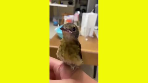 Release the sound