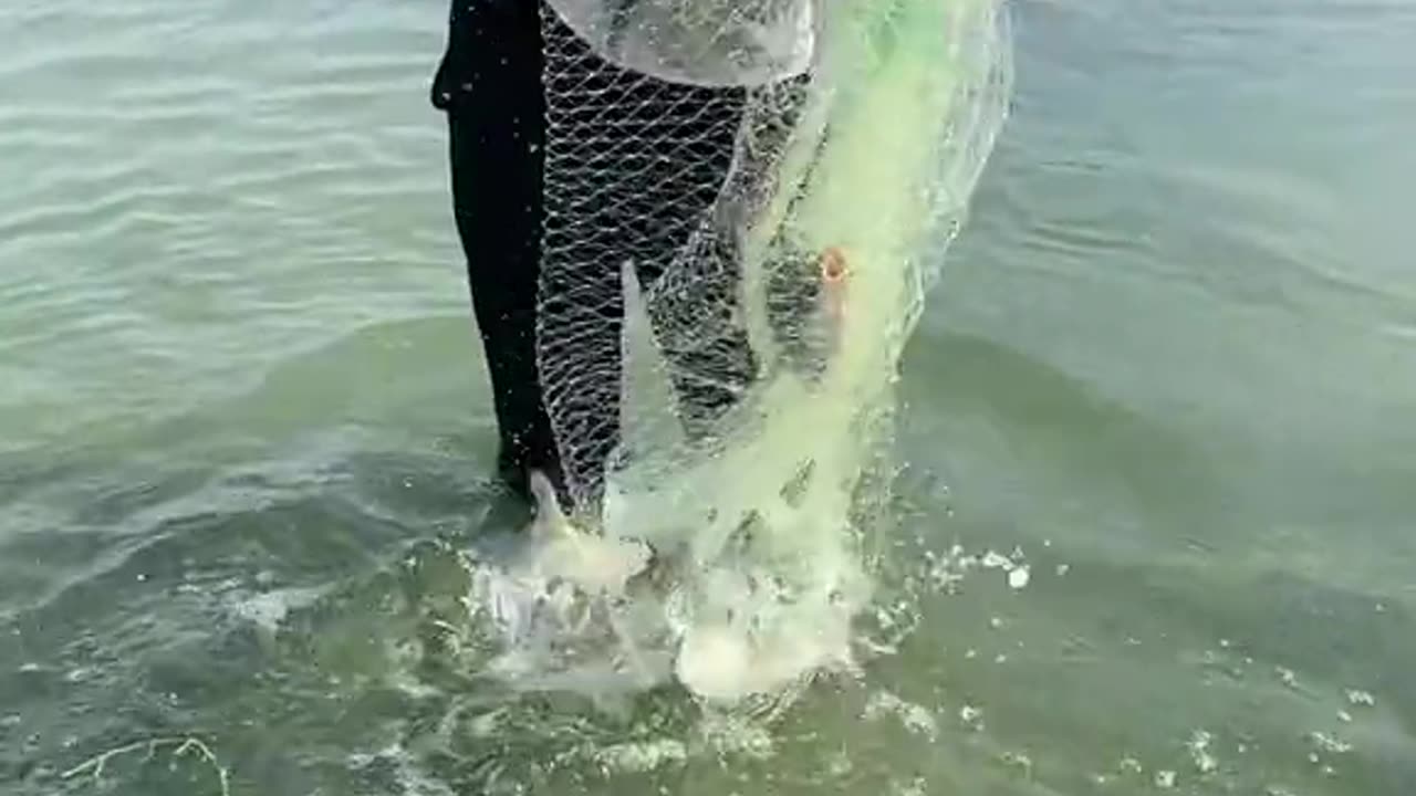 Amazing Fishing Videos Net fishing